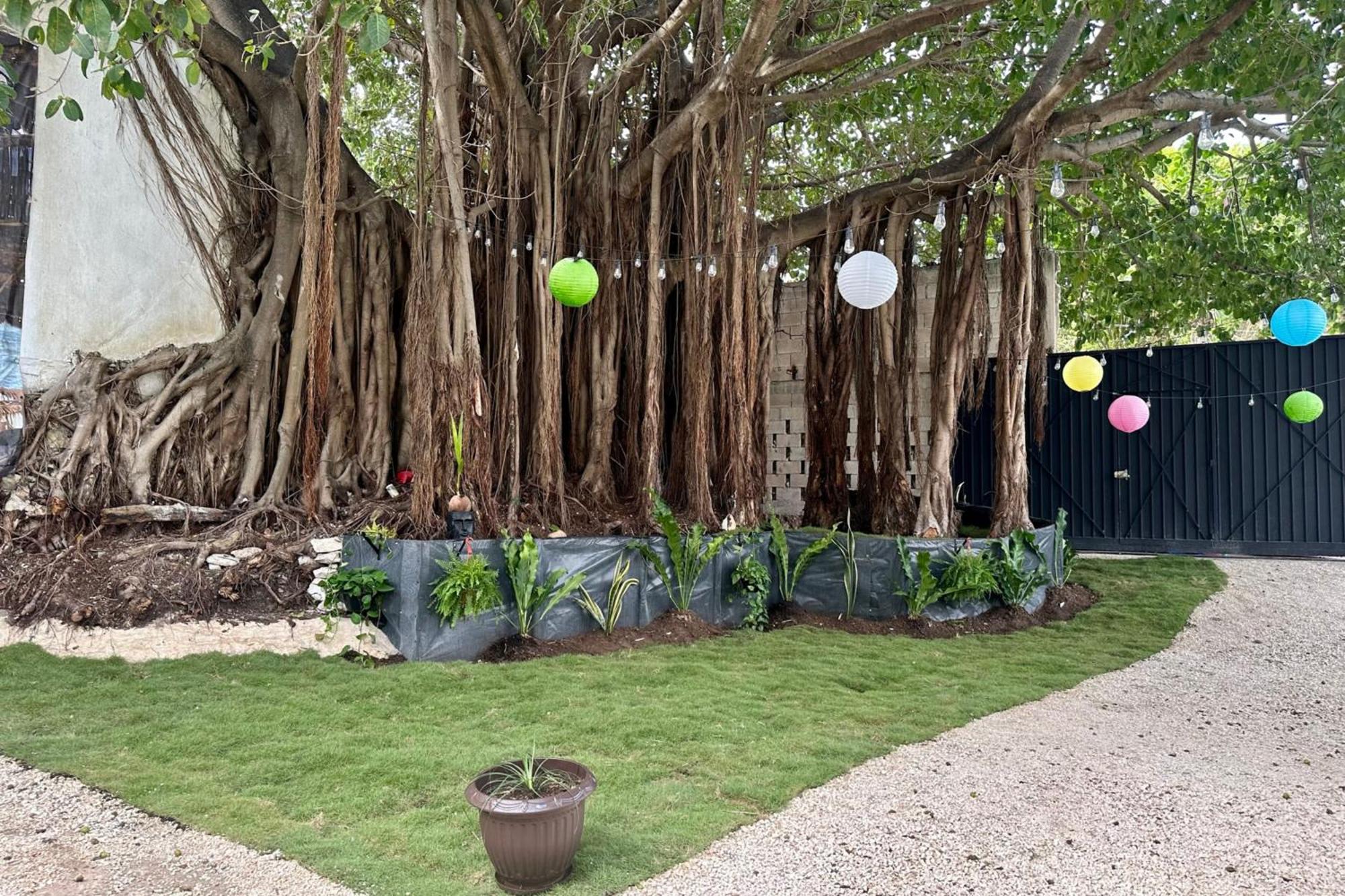 La Quinta Caribena Apartment Playa del Carmen Bagian luar foto